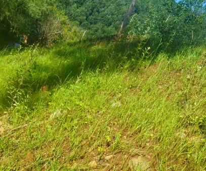 柳關(guān)欒盧鉛鋅礦|治理排土“瘡疤”，繪就綠色畫卷